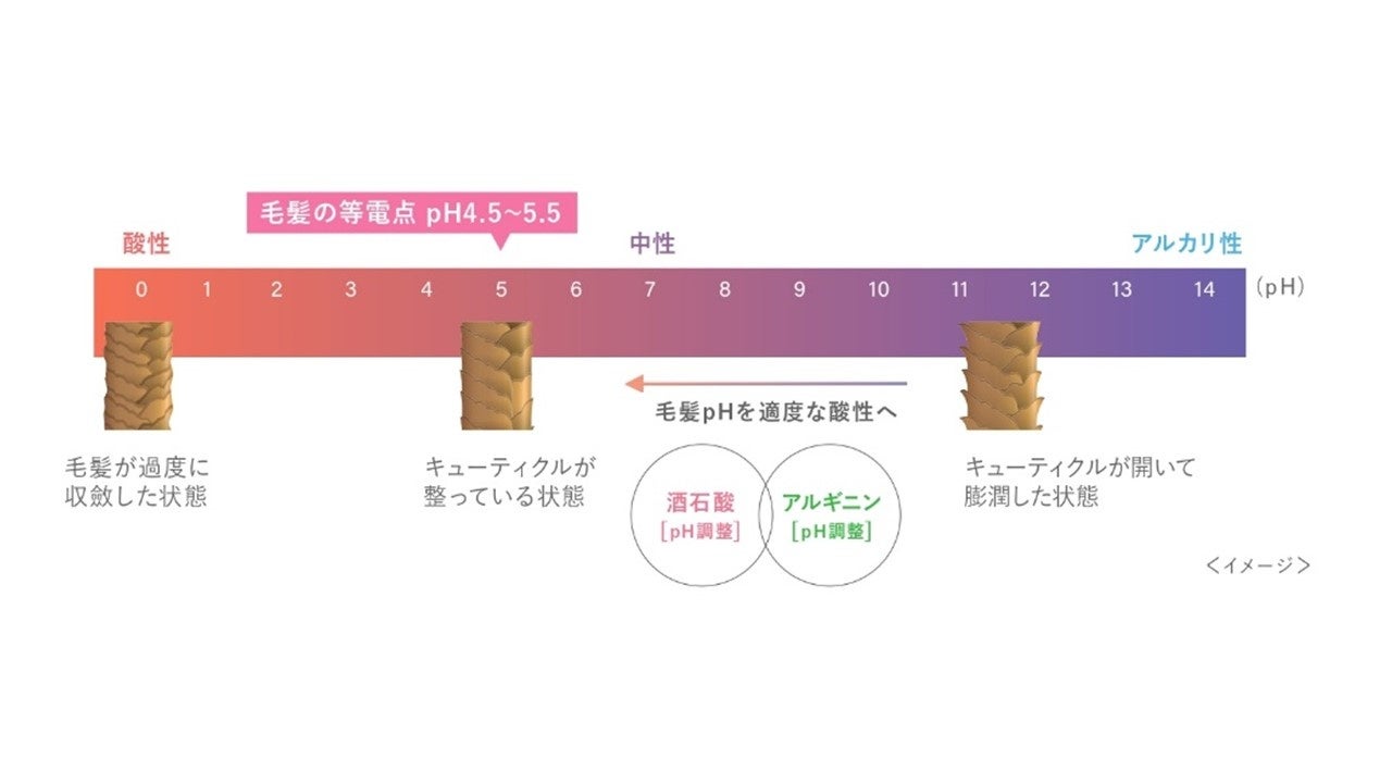 イメージ１：バッファー効果