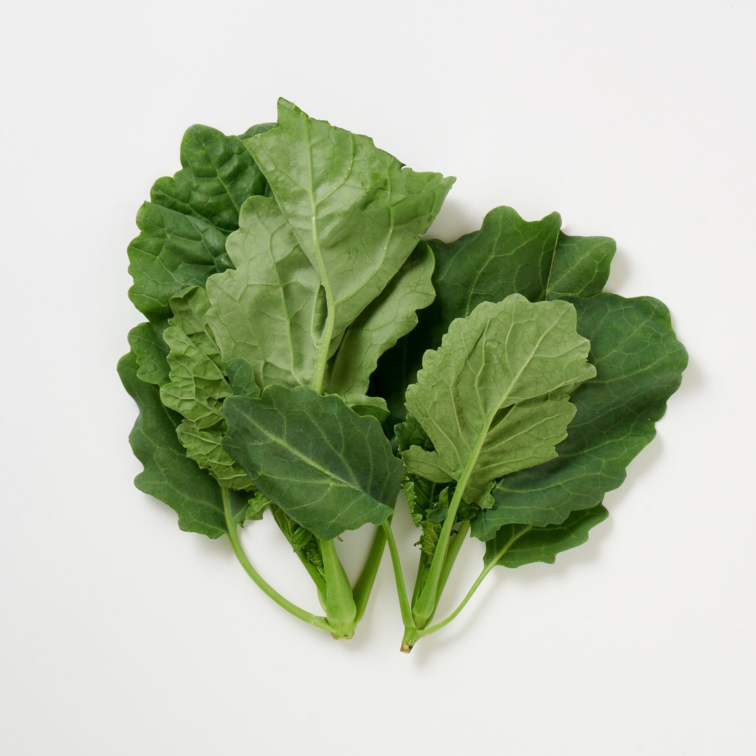 「ぎゅっとGABA　きらきらケール」内容物