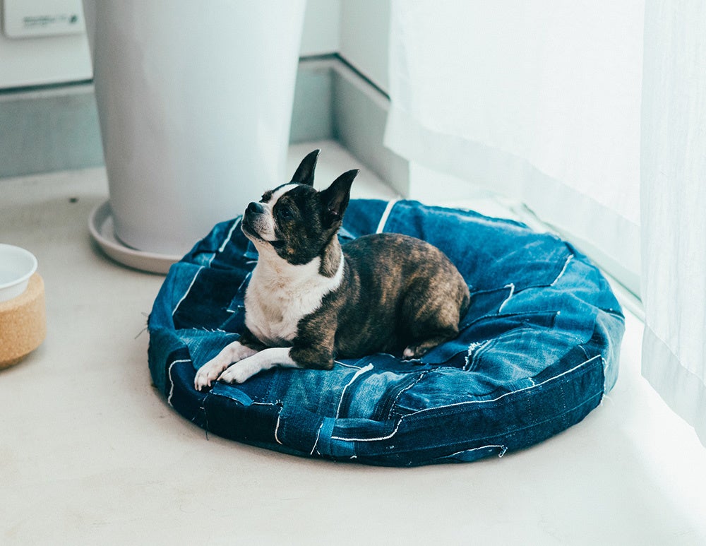 anela BUDDY BED -ROUND- （再生コルク×廃棄デニムベッド） 43,780円(税込)