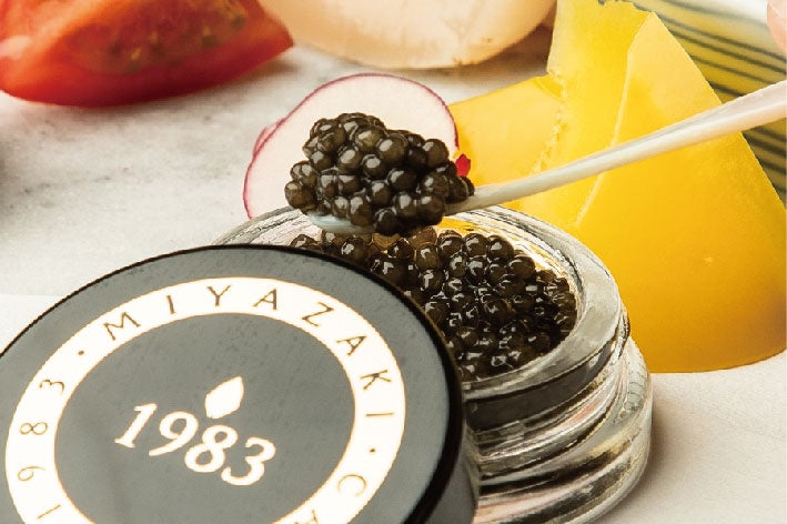 宮崎キャビア1983