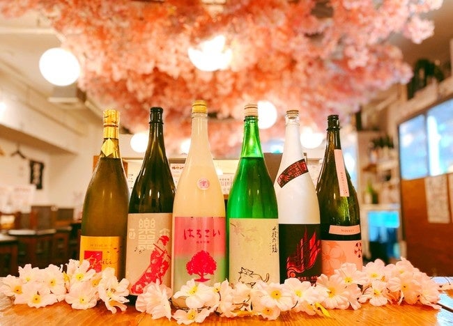 2021年お花見キャンペーン　川崎店