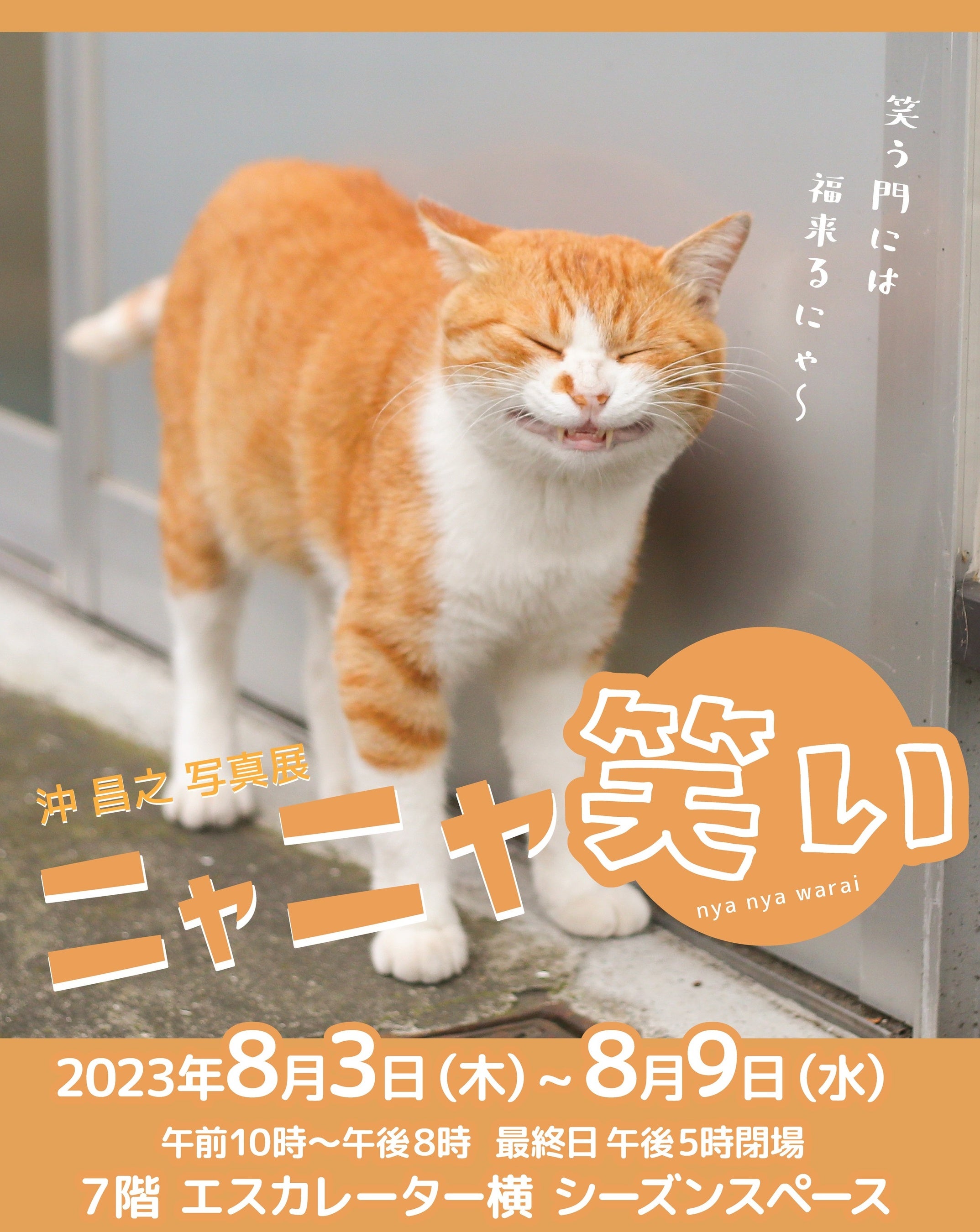 注目のねこ写真展示イベント「ねこにすと65」を開催 | 株式会社