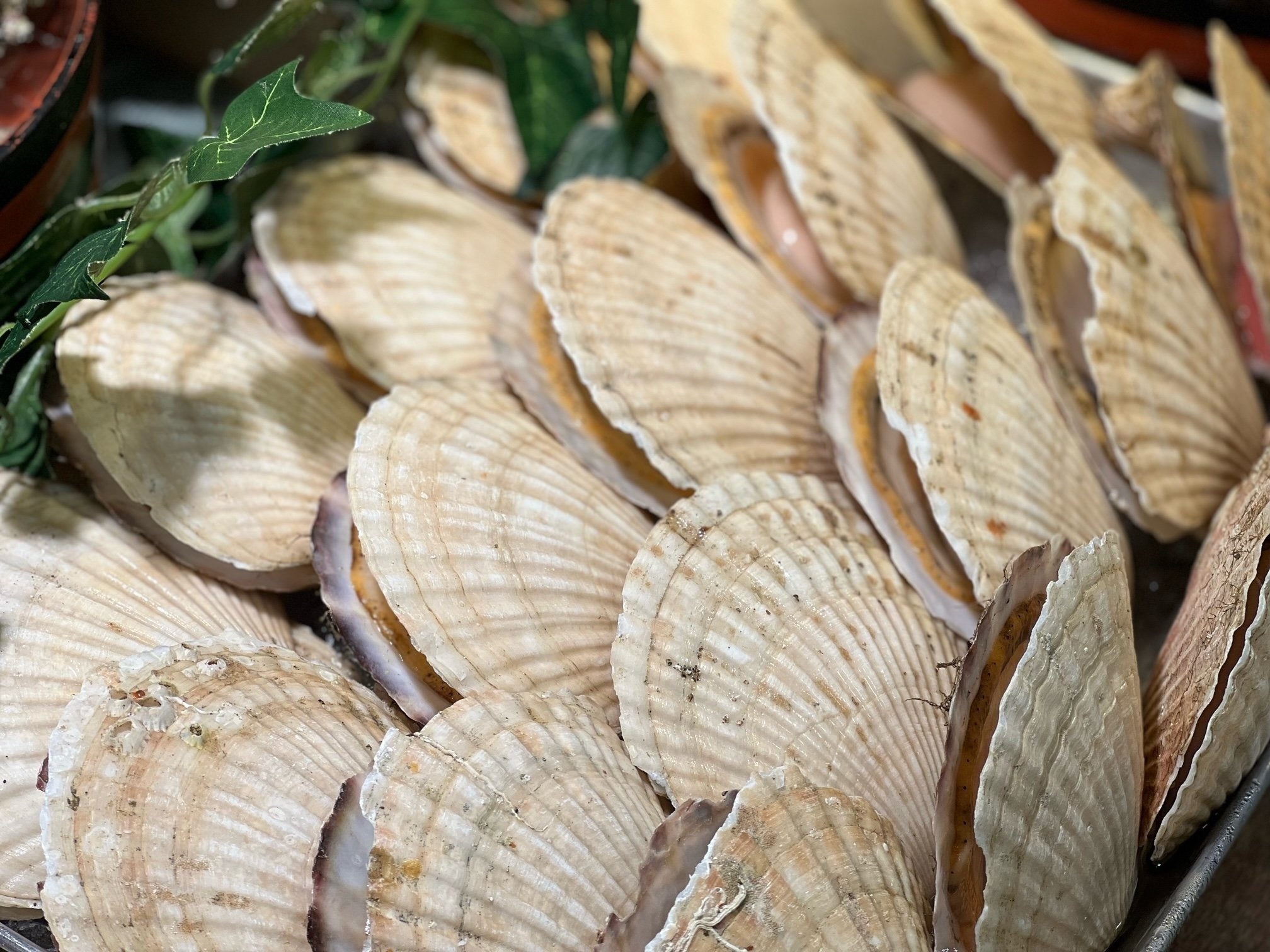 画像はイメージ