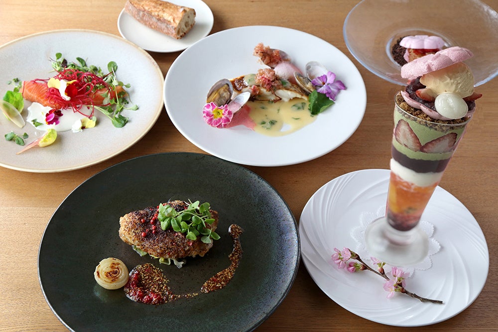 春爛漫 ♪ さくらプラン