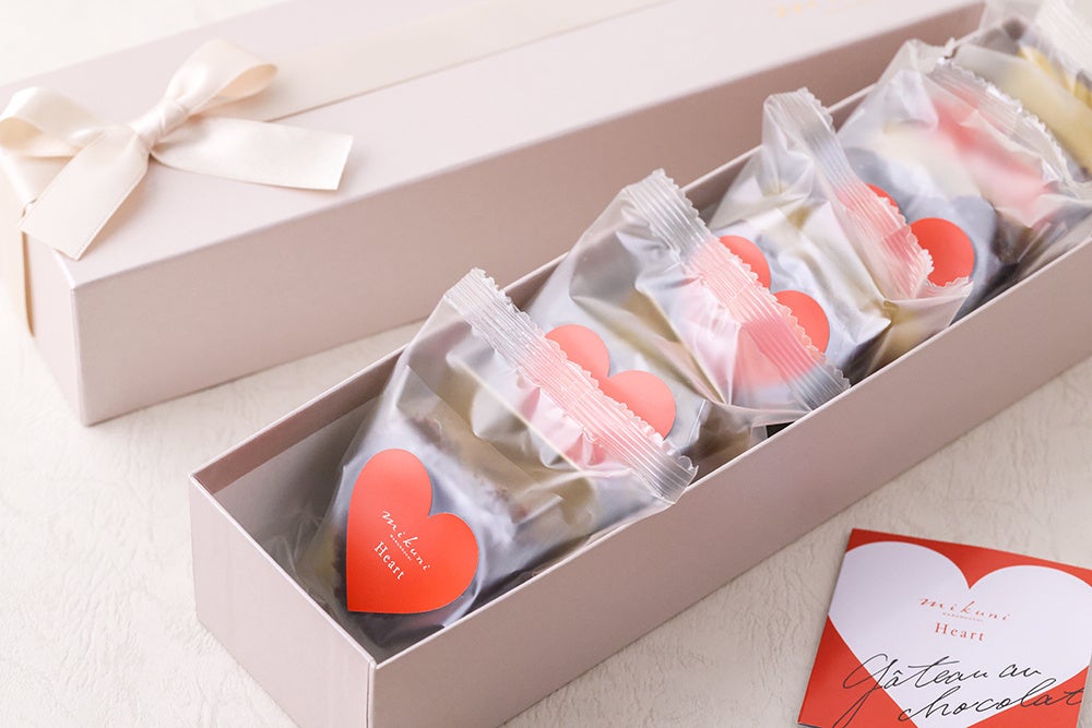 通常パッケージ【5個入り BOX】