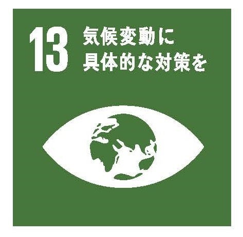 SDGs 13