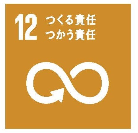 SDGs 12