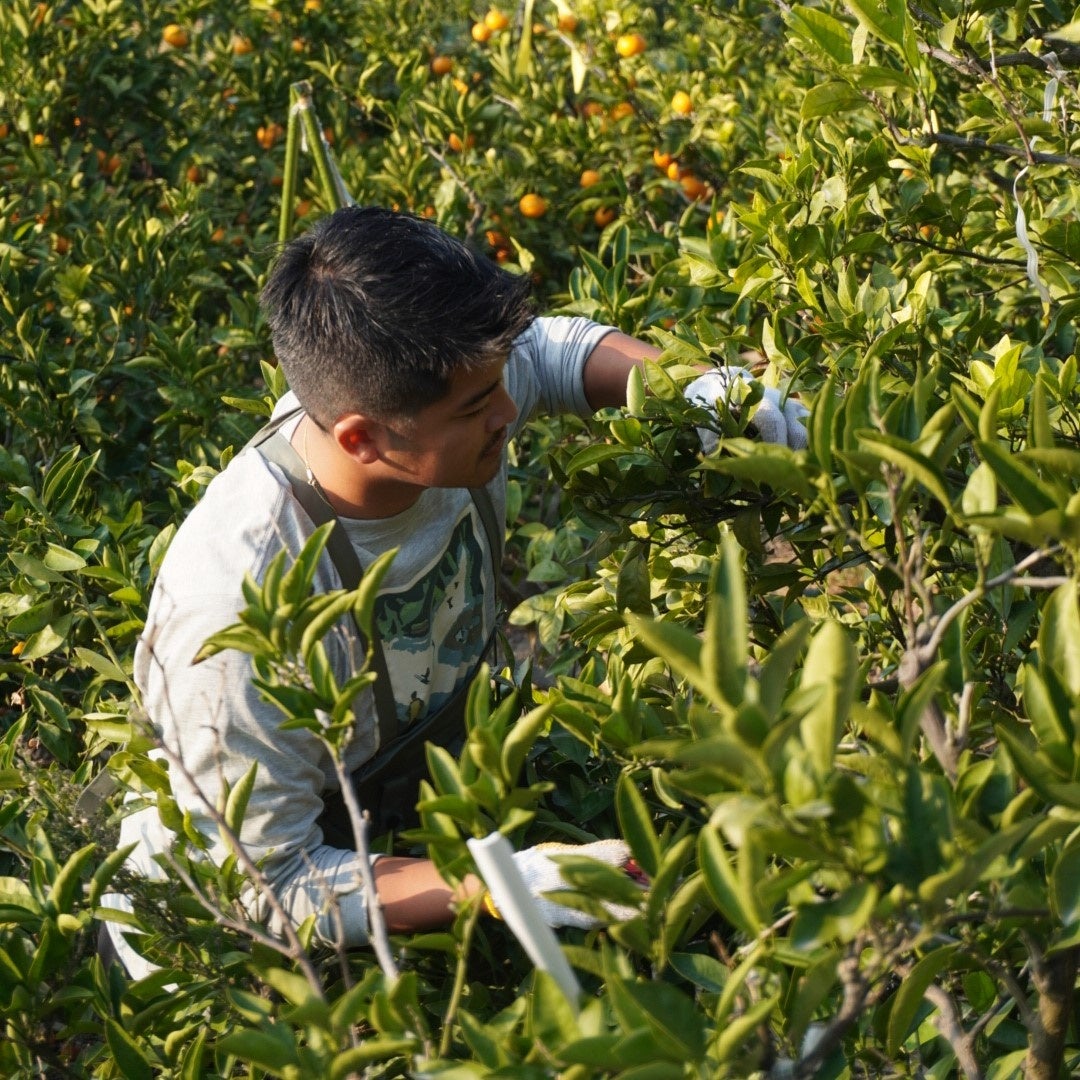 Vol.1開催の様子 - 香川県三豊市