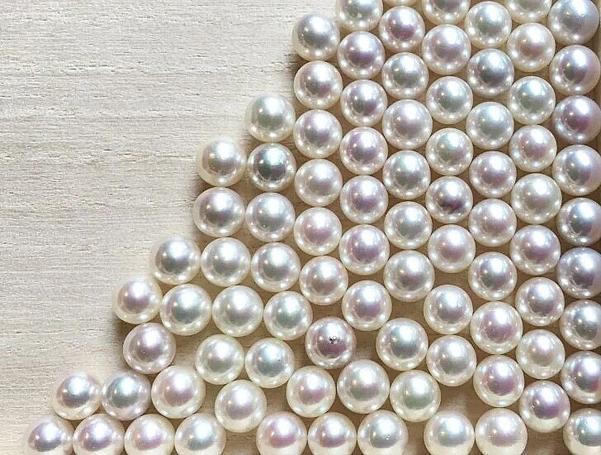 桜咲く春のお祝いに 調色加工をしない ピンク色のあこや真珠養殖に成功 株式会社サンブンノナナのプレスリリース 桜咲く春のお祝いに 調色加工をしない ピンク色のあこや真珠養殖に成功 株式会社サンブンノナナのプレスリリース