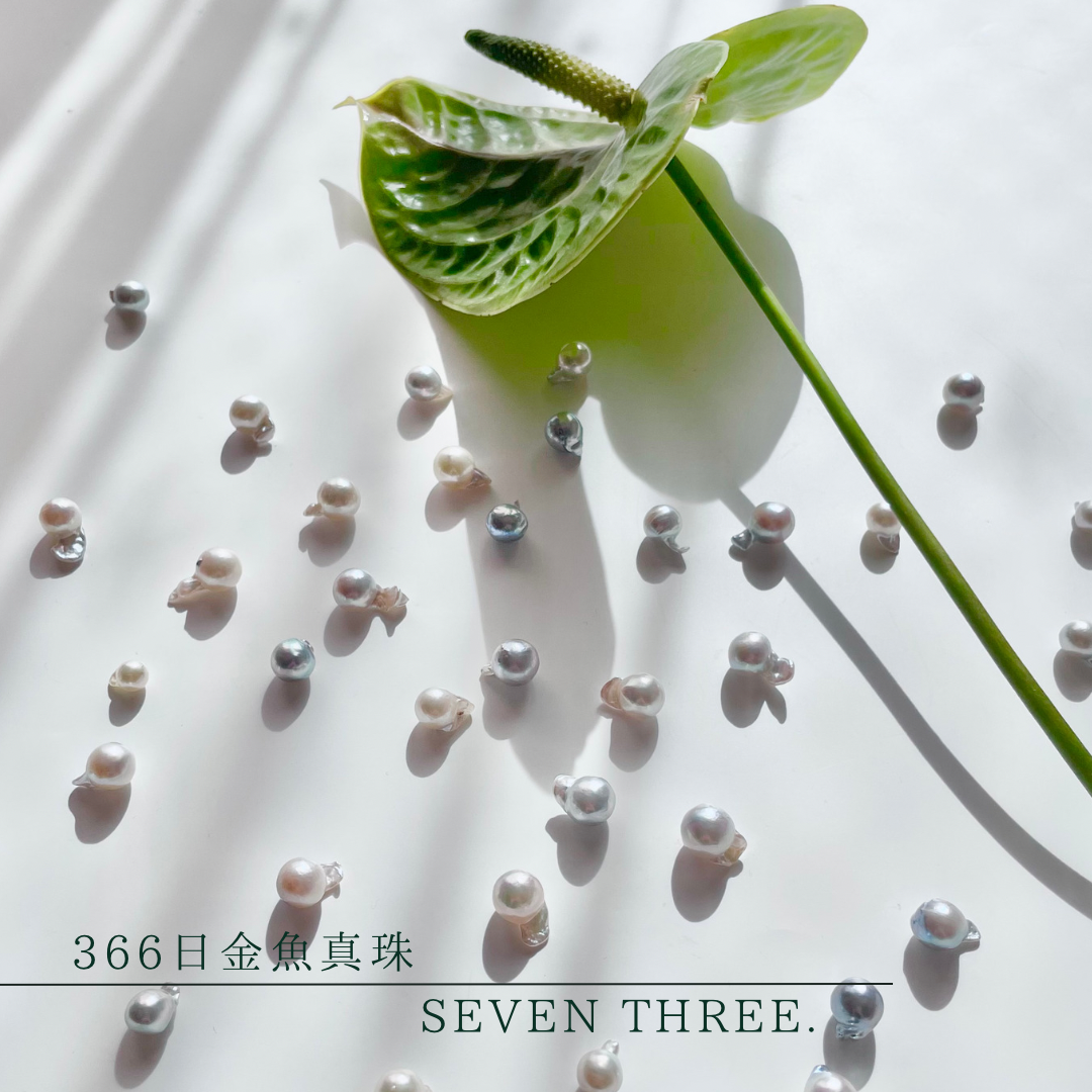 366日金魚真珠