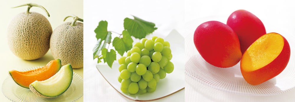 ※画像はイメージです