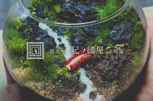 【紀ノ国屋・開催】日常に余白を ― 京都・京町家で楽しむテラリウムワークショップ 【紀ノ国屋・開催】日常に余白を ― 京都・京町家で楽しむテラリウムワークショップ