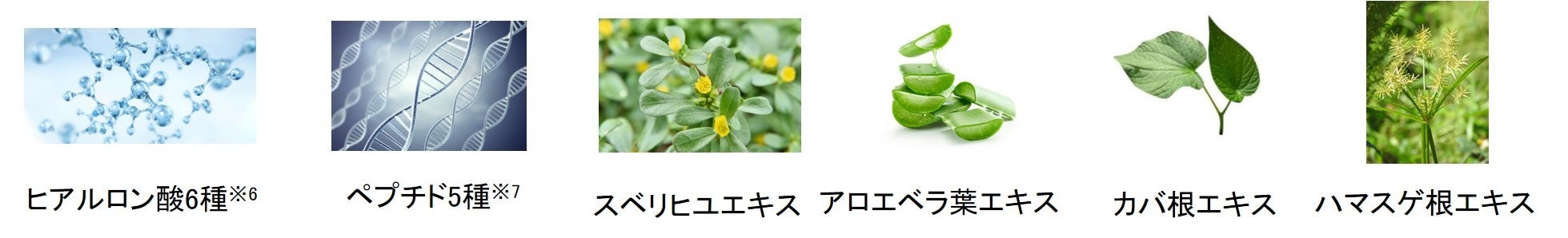 ※画像はイメージです