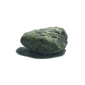 草野マサムネ(スピッツ)らも注目する話題の四人組ロックバンド”家主”、ニューアルバム『石のような自由』12/20リリース決定!先行シングル「SHOZEN」配信開始! 草野マサムネ(スピッツ)らも注目する話題の四人組ロックバンド”家主”、ニューアルバム『石のような自由』12/20リリース決定!先行シングル「SHOZEN」配信開始!