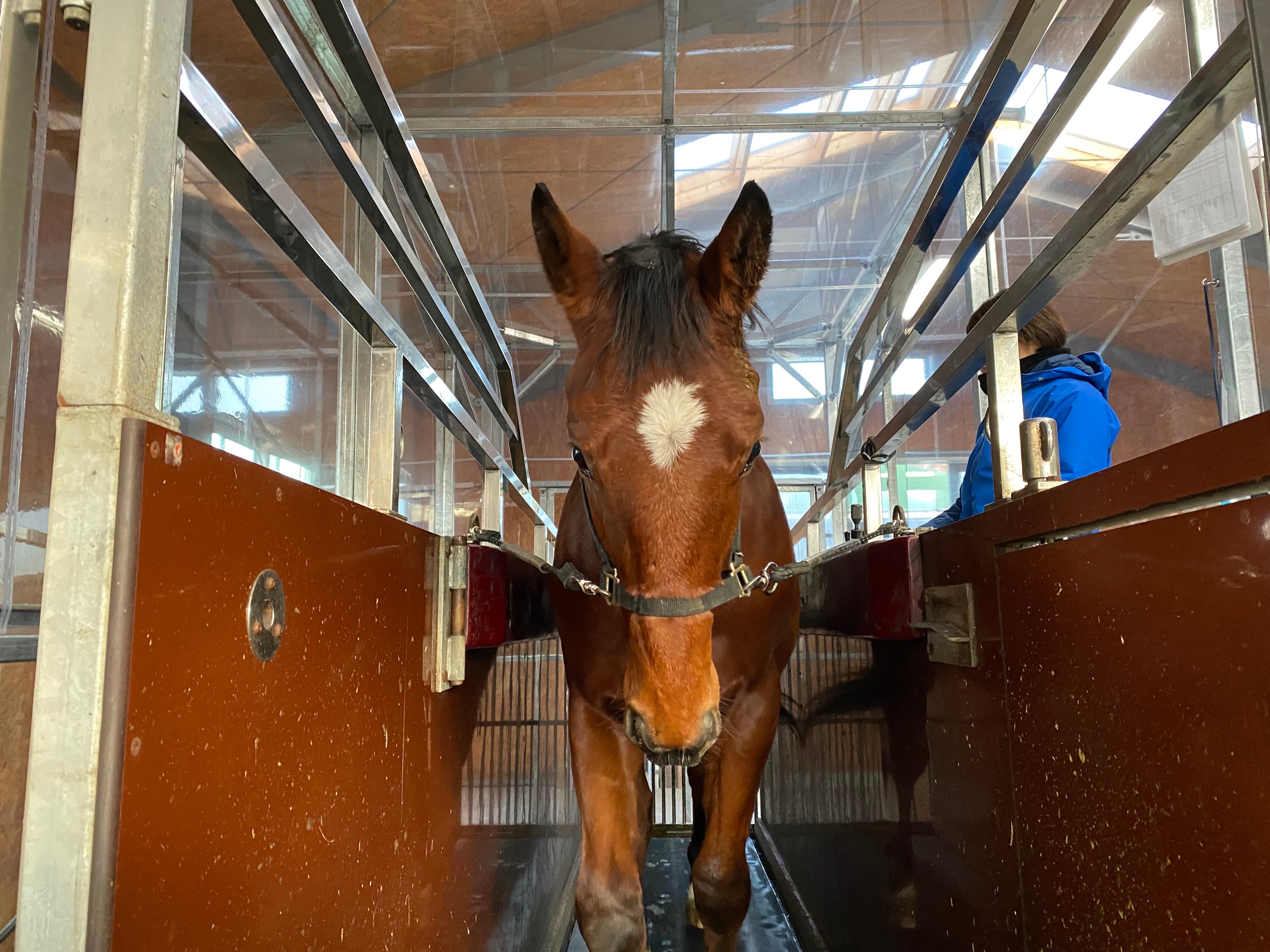 業界初！競走馬用低酸素トレーニングシステムを導入。故障の