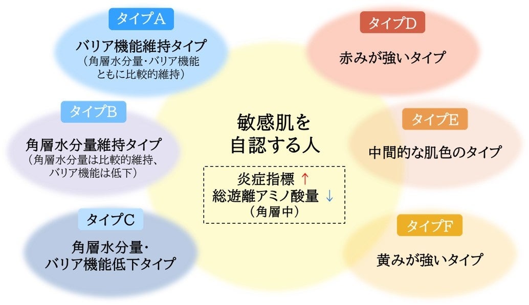 敏感肌には多様な肌状態が存在することを明らかに 角層の炎症状態・アミノ酸量・肌色特性の解析から、複数の敏感肌タイプの存在を確認