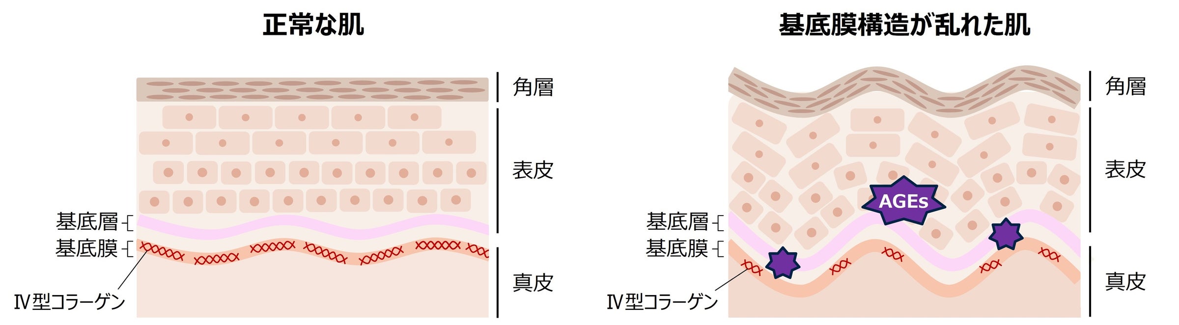 ヘアケアブランド「hiritu(ヒリツ)」から「ベイマックス」限定デザインが登場!あなたの髪を守る※1♡ベイマックスデザインの3アイテムを数量限定で発売