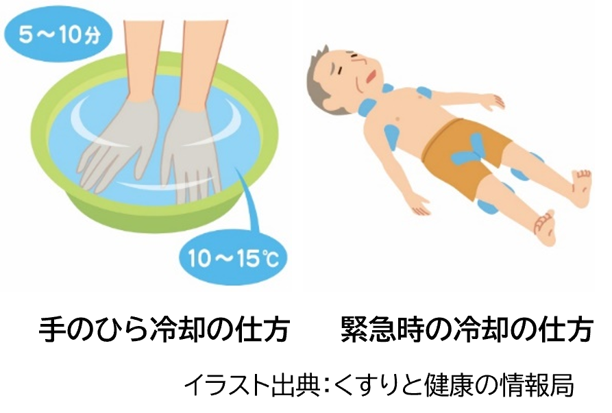 イラスト出典：くすりと健康の情報局