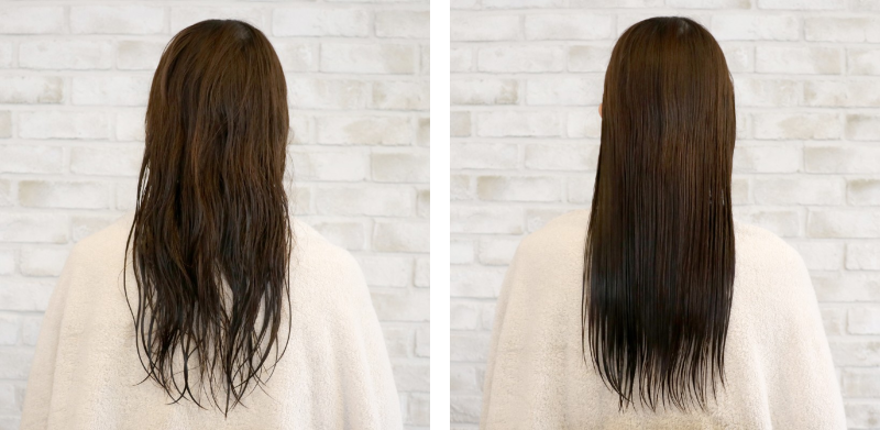 （左）お風呂上り、タオルドライのみ　（右）全体をブラッシング