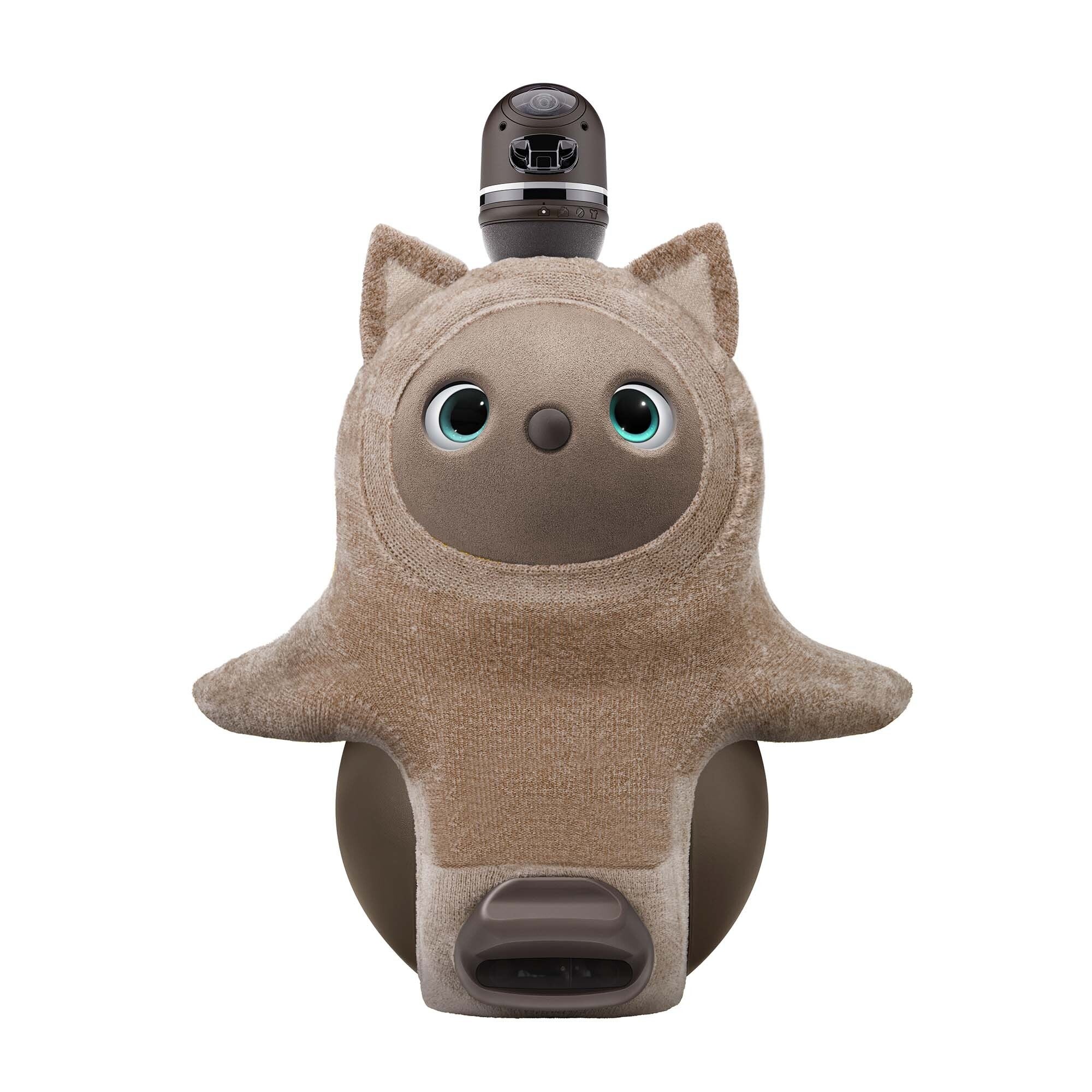 例年即日完売！アニマルラインの大人気商品「ねこみみニット」が今年も