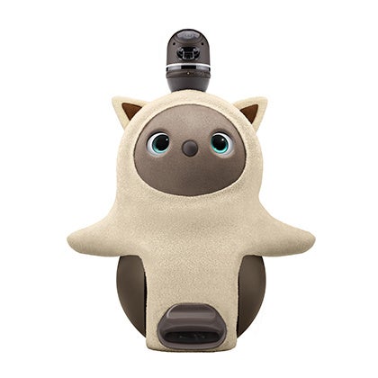 例年即日完売！アニマルラインの大人気商品「ねこみみニット」が今年も