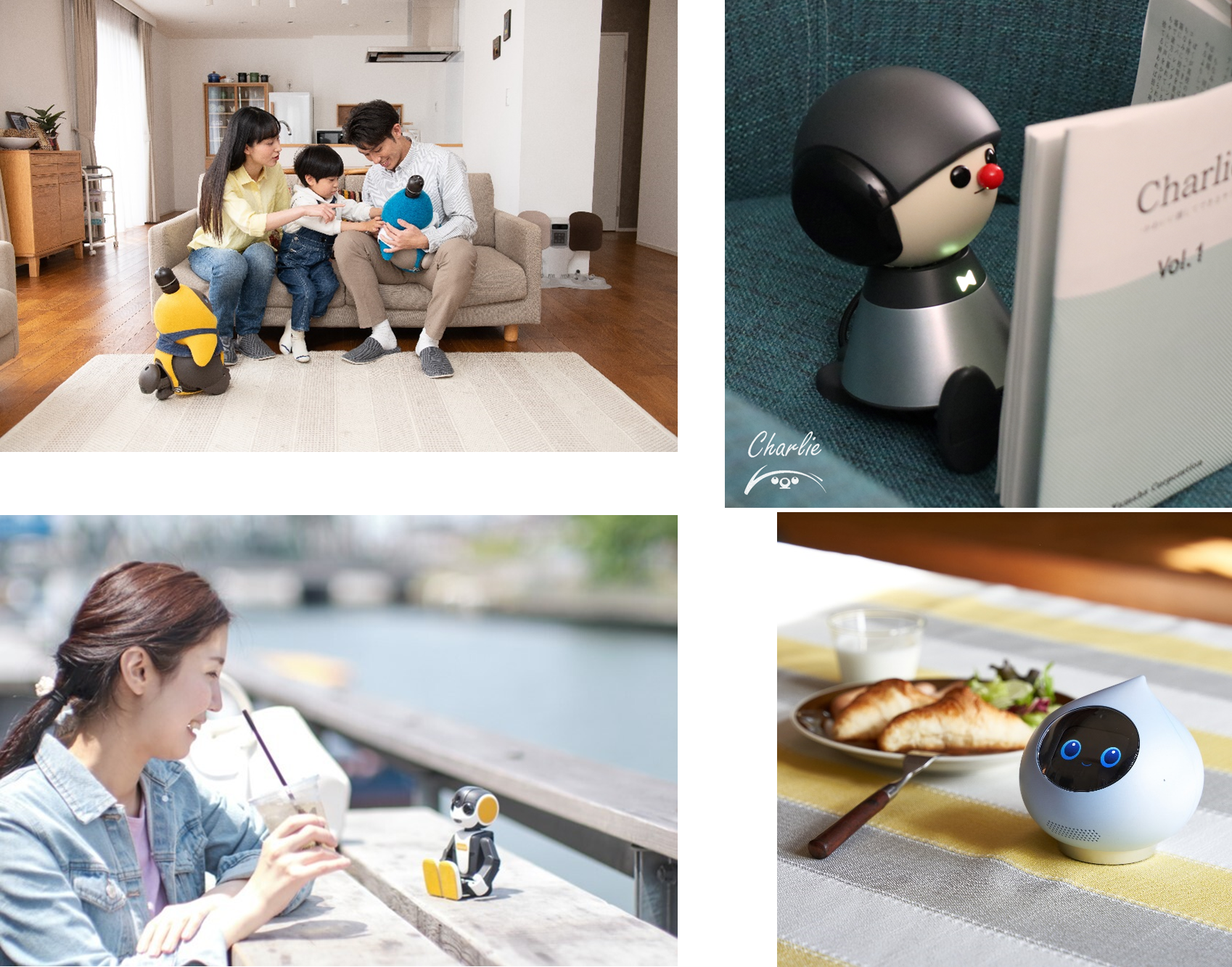 投稿写真イメージ