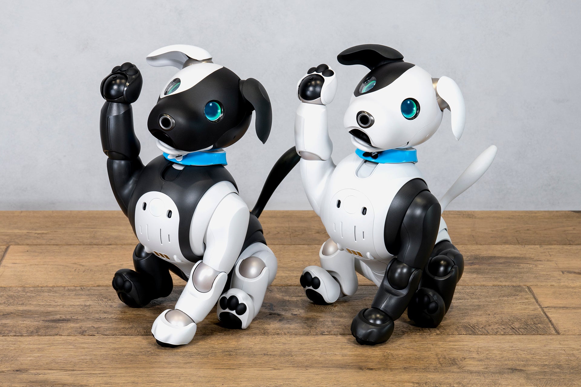 アイボ　aibo aibo（アイボ）」の2023年カラー「エスプレッソ エディション