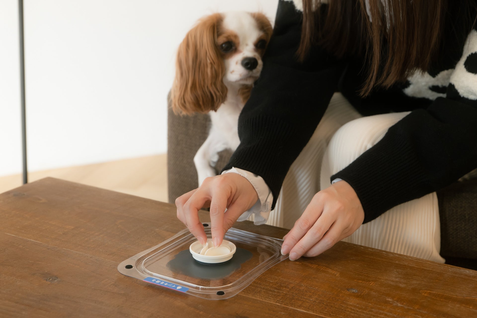 1.フィルムにインキを塗る　　　