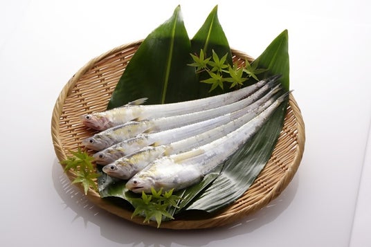 【佐賀市】幻の魚「えつ」の魅力を未来へつなぐ 【佐賀市】幻の魚「えつ」の魅力を未来へつなぐ
