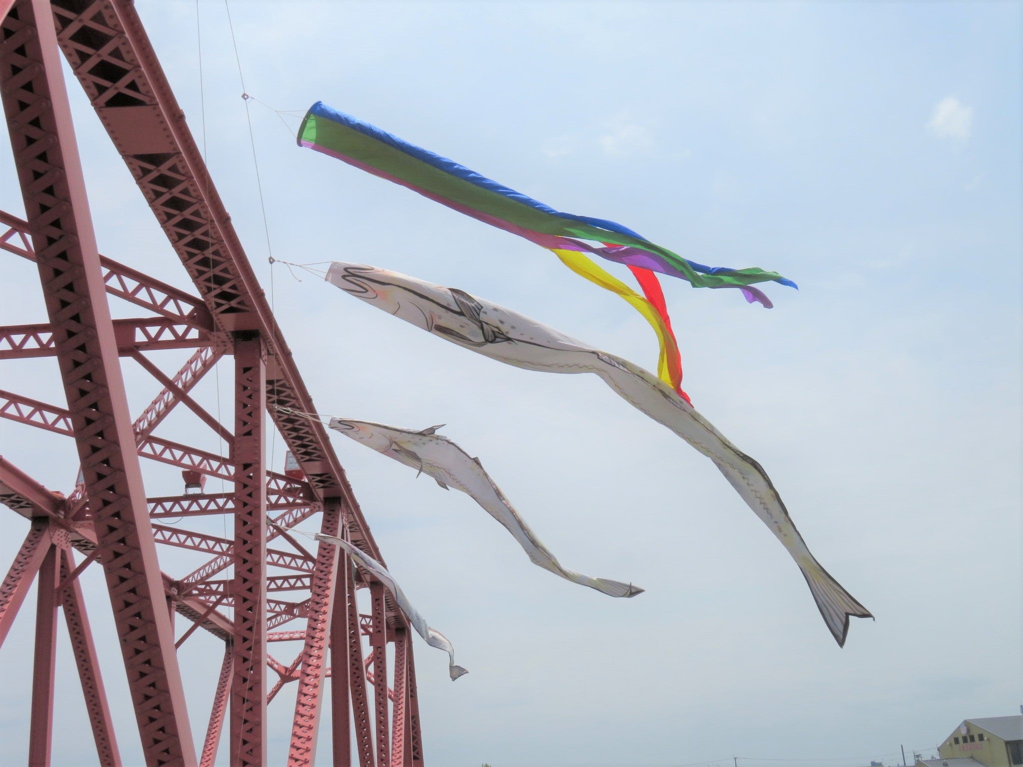 えつのぼりは体長2～5メートルの3体です