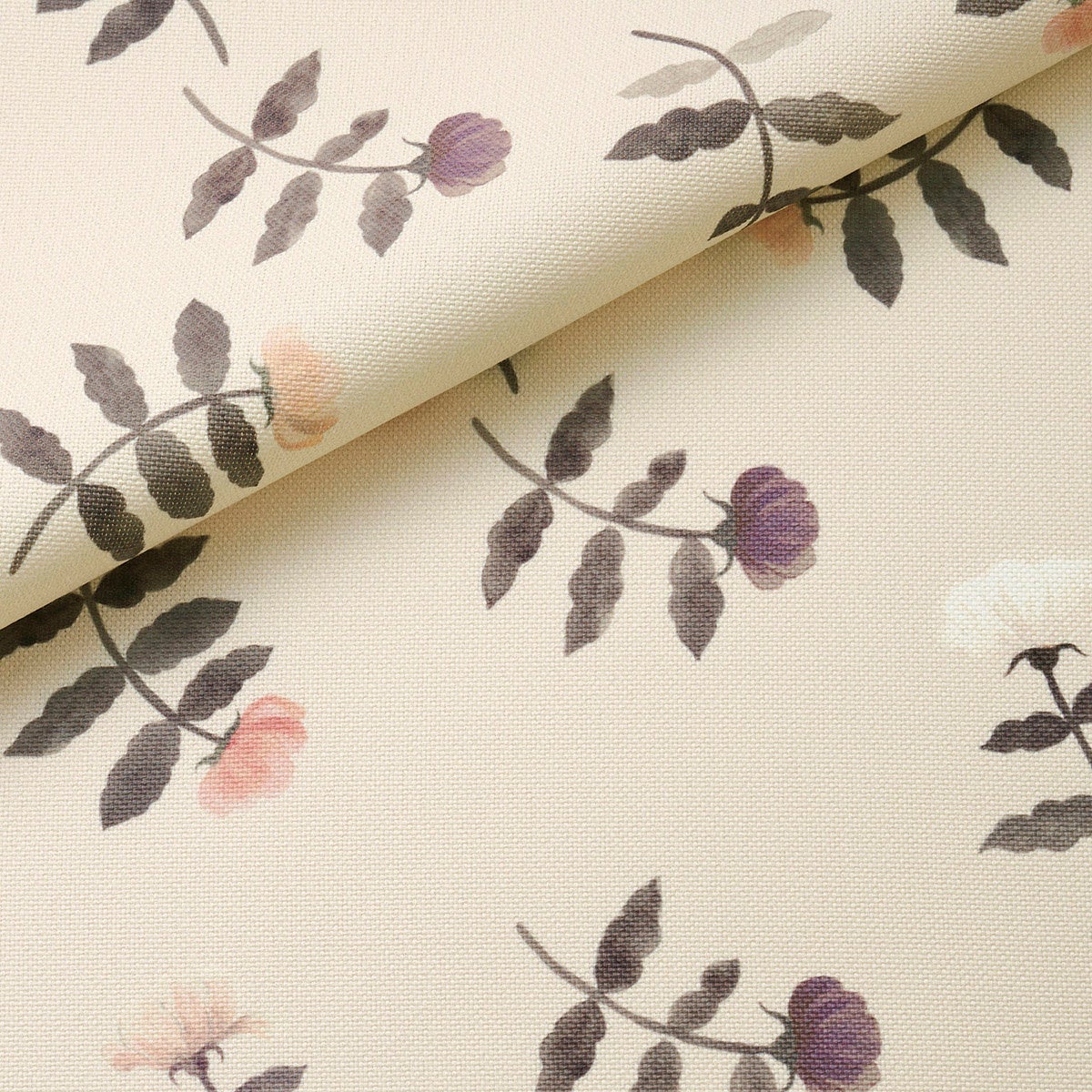 野ばら　クリーム