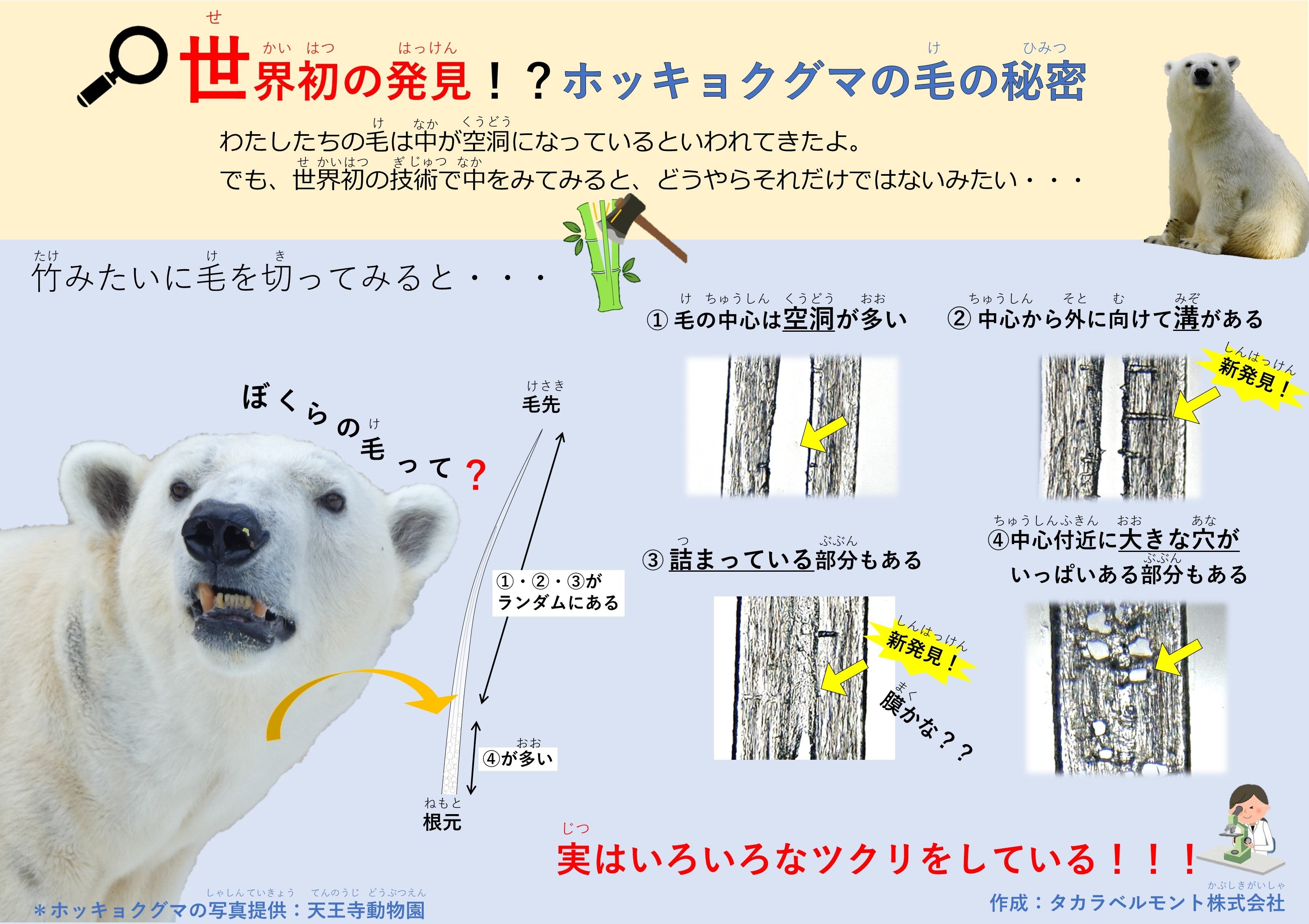 天王寺動物園の掲示ポスター