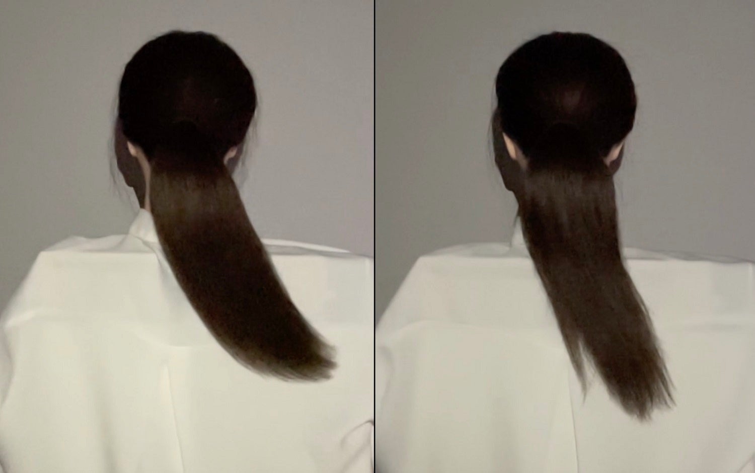 写真左：HMC + Chol　写真右：untreated