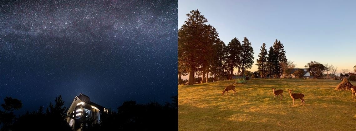 ホテルの敷地内で鹿の家族の食事風景や星空を眺めることができます