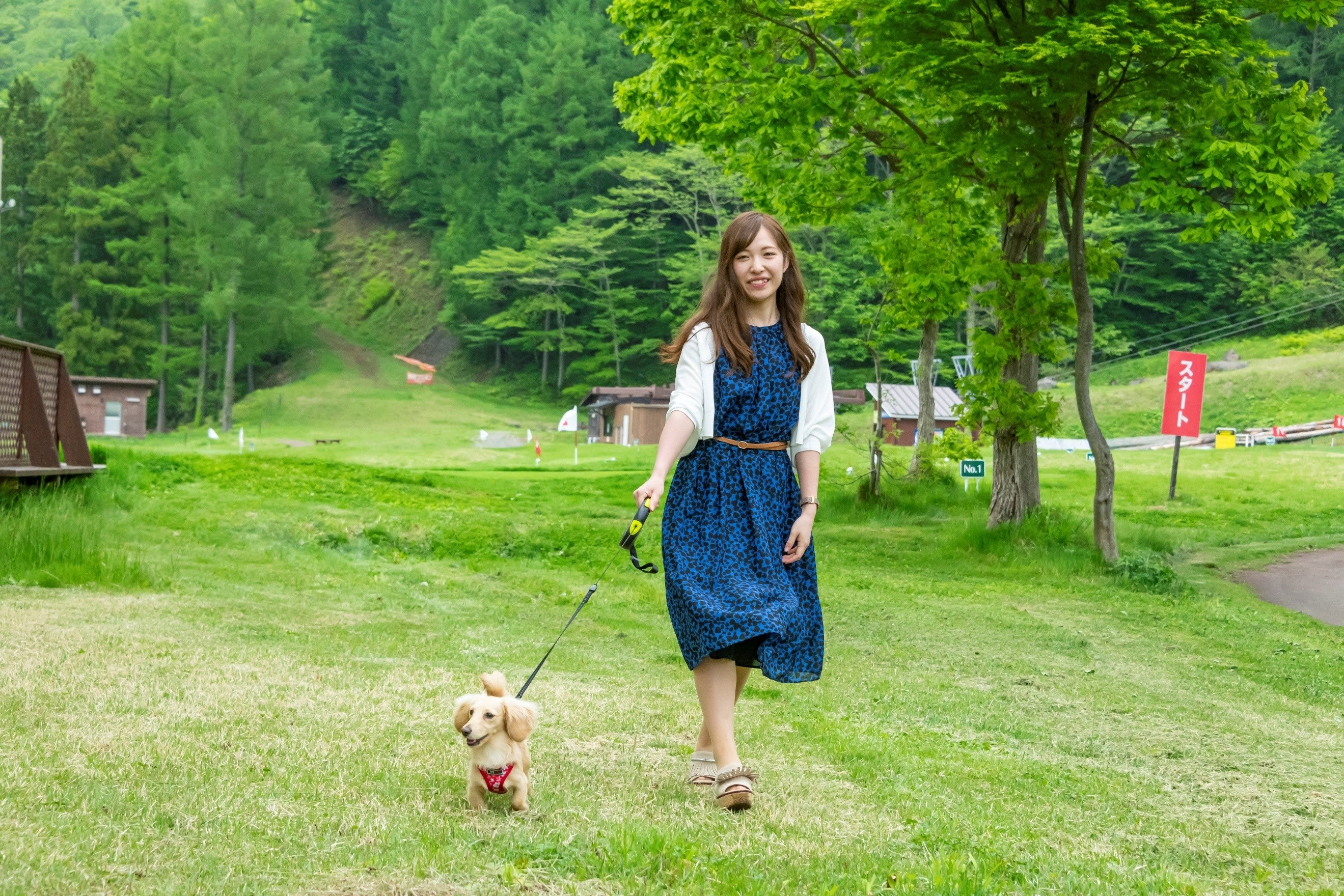 無料ドックランや散歩も楽しめます