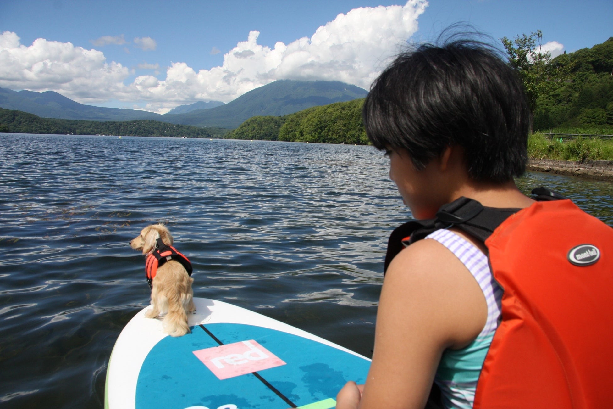 野尻湖では愛犬と一緒に SUP 体験ができます(車で約 10 分)