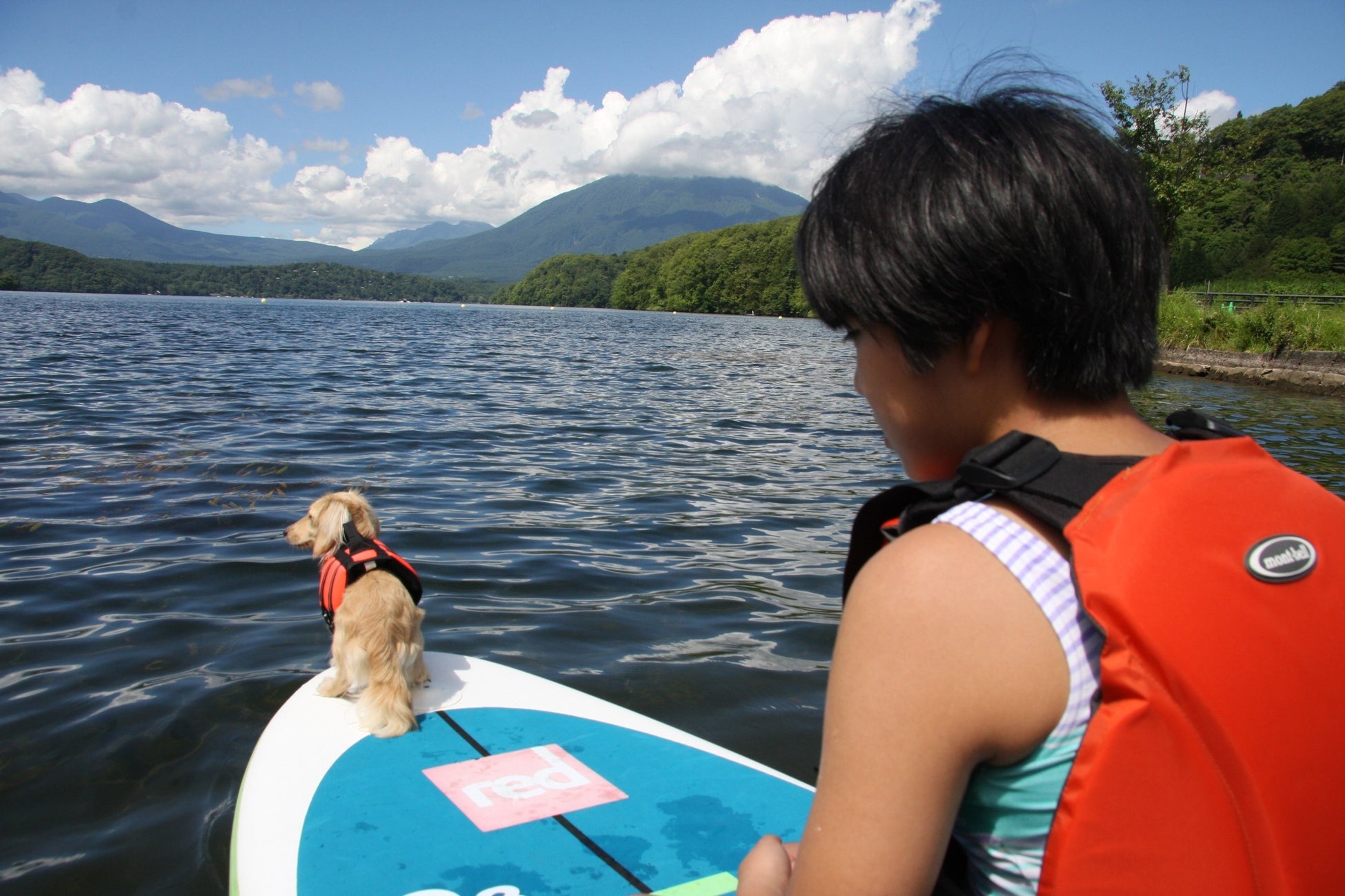 野尻湖では愛犬と一緒に SUP 体験ができます（車で約 10 分） 