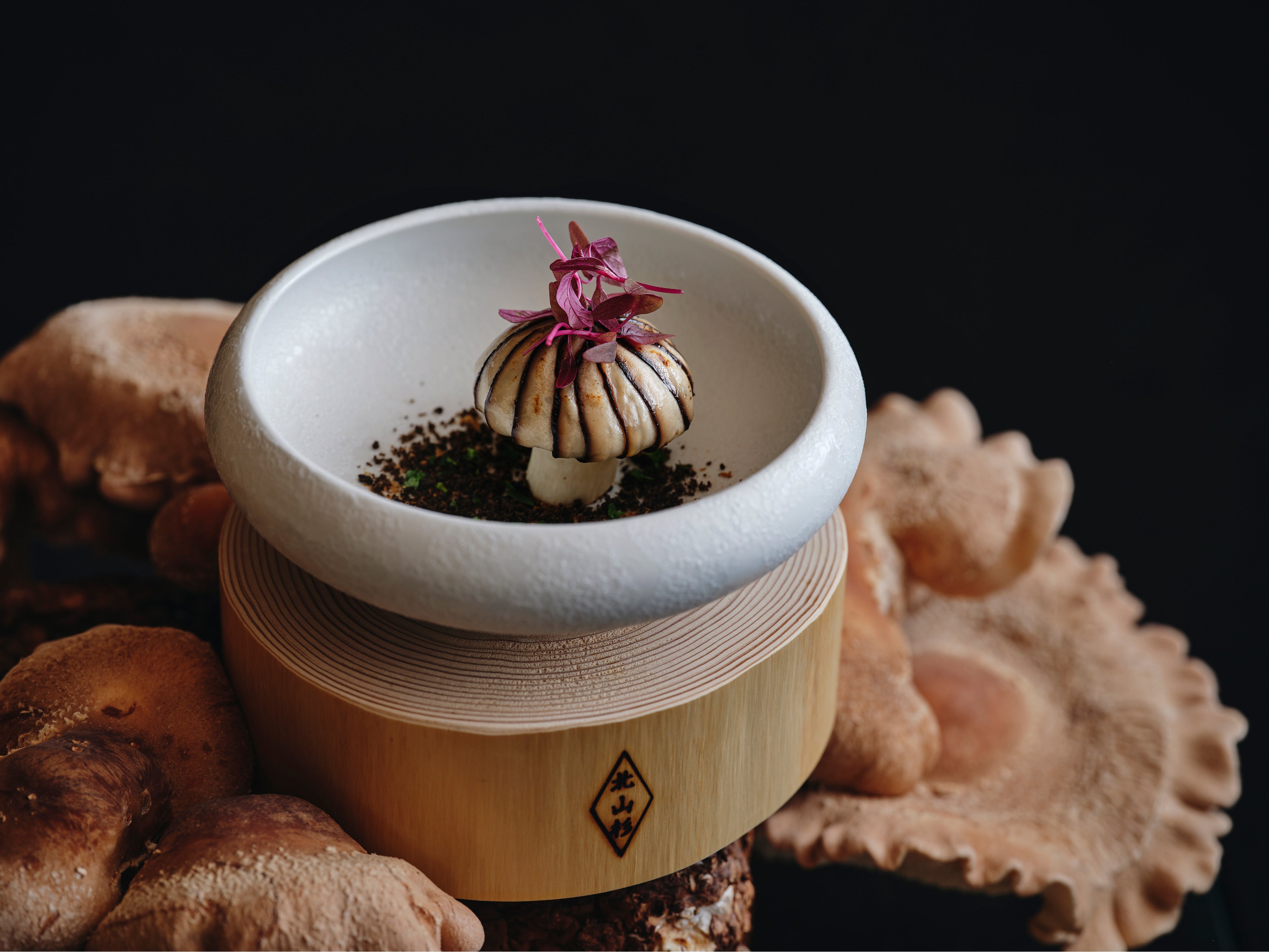 椎茸 コンテ・ド・モンターニュ