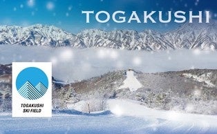 「魔法の粉雪」、基礎スキーヤー・ボーダーの聖地「戸隠」