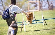 約1,200㎡の広々としたドッグランを完備