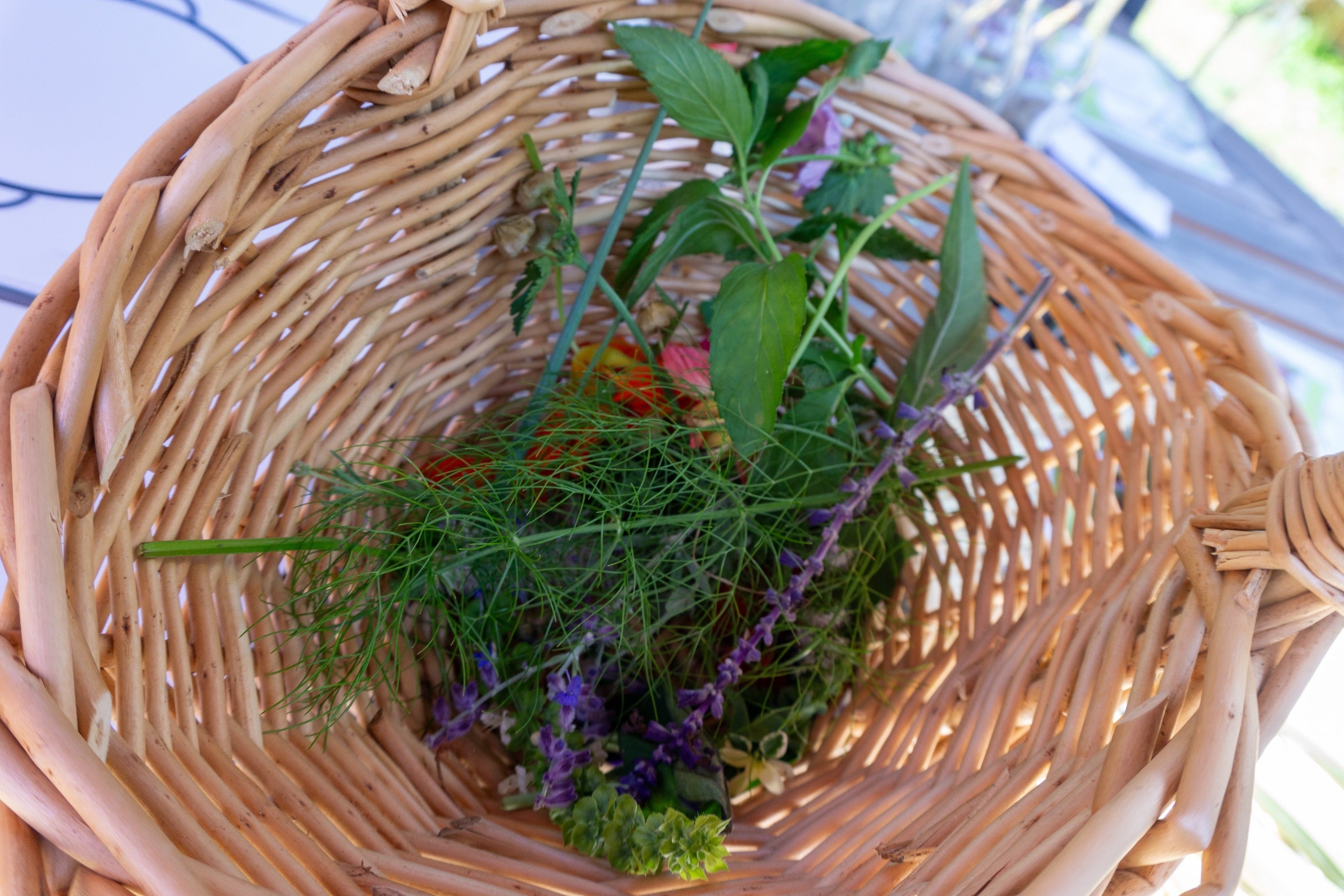 豊富な種類のハーブ類