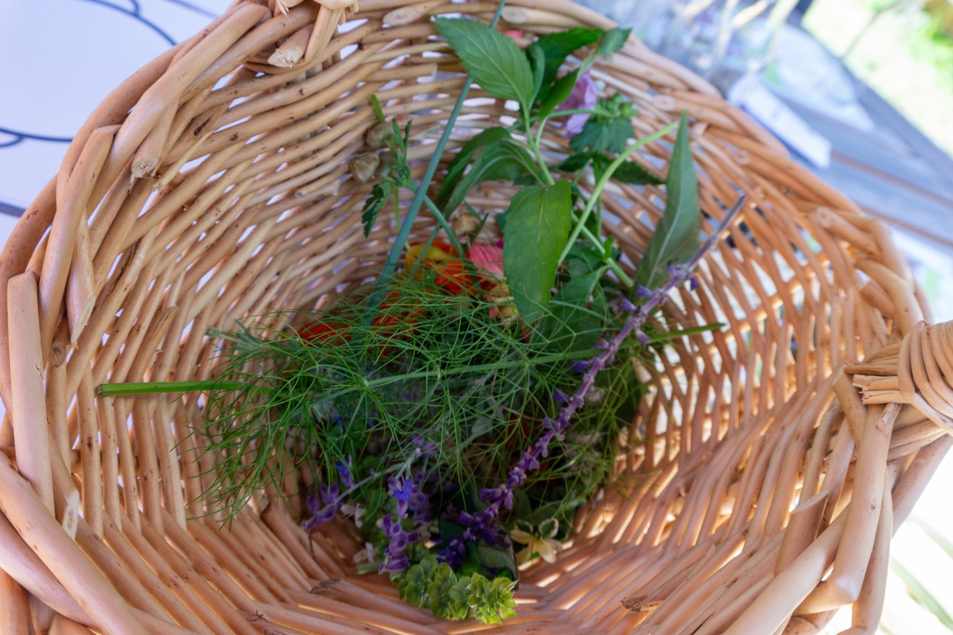 豊富な種類のハーブ類