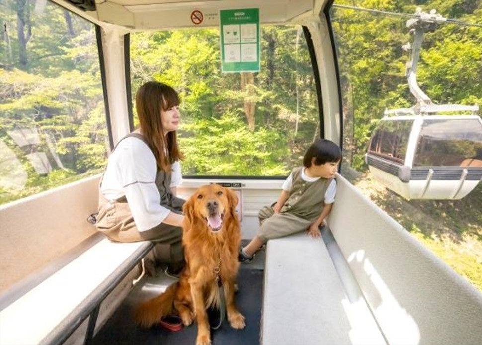 ゲージなしでゴンドラに乗車可能