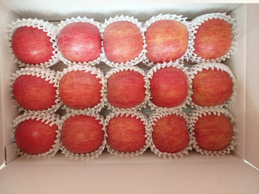 写真は5kg（15個）　収穫祭に来られない方へは10kg程度(26～30個)を着払いにて発送します