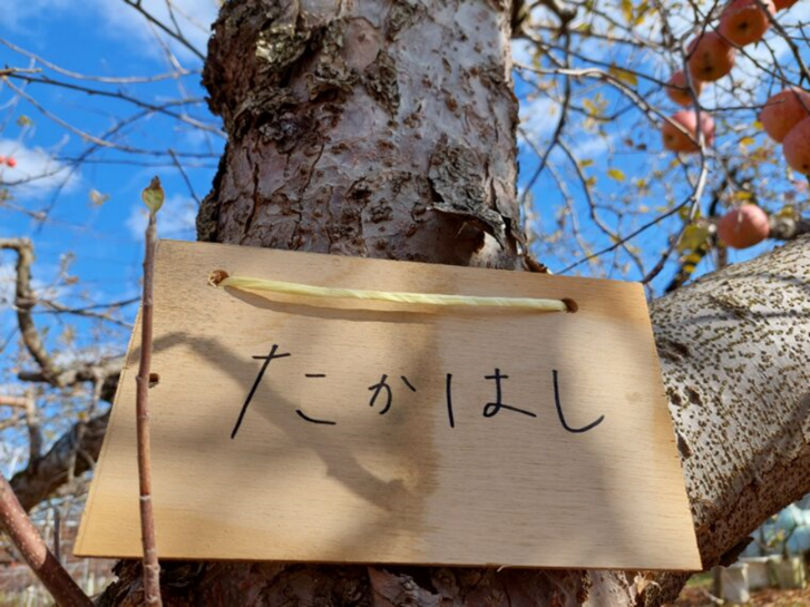 名札はニックネームなどでもOK！