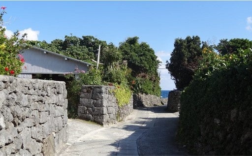 阿伝集落のサンゴの石垣