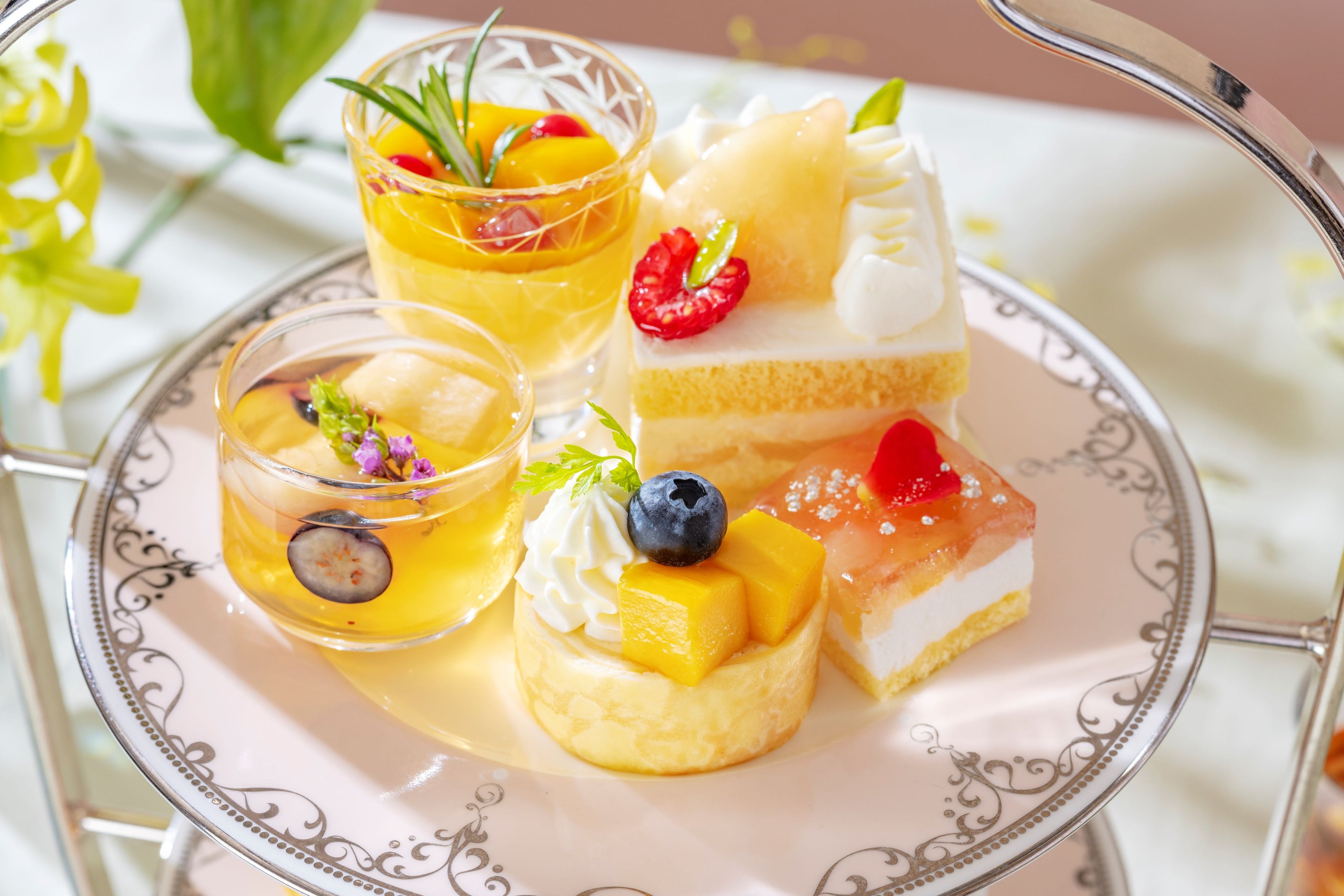 5種類の鮮やかなスイーツ