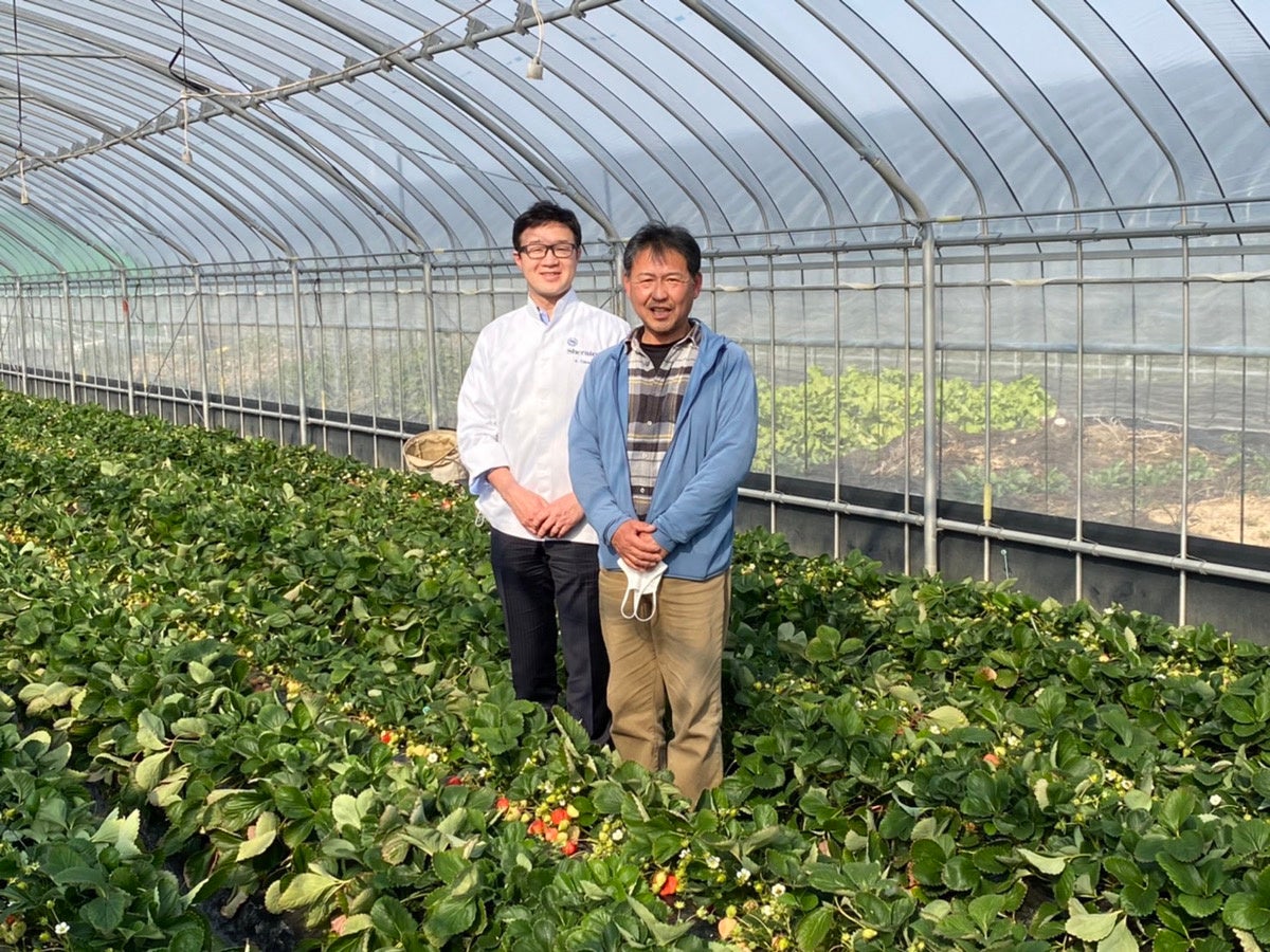 福岡県産あまおうの農園を訪問