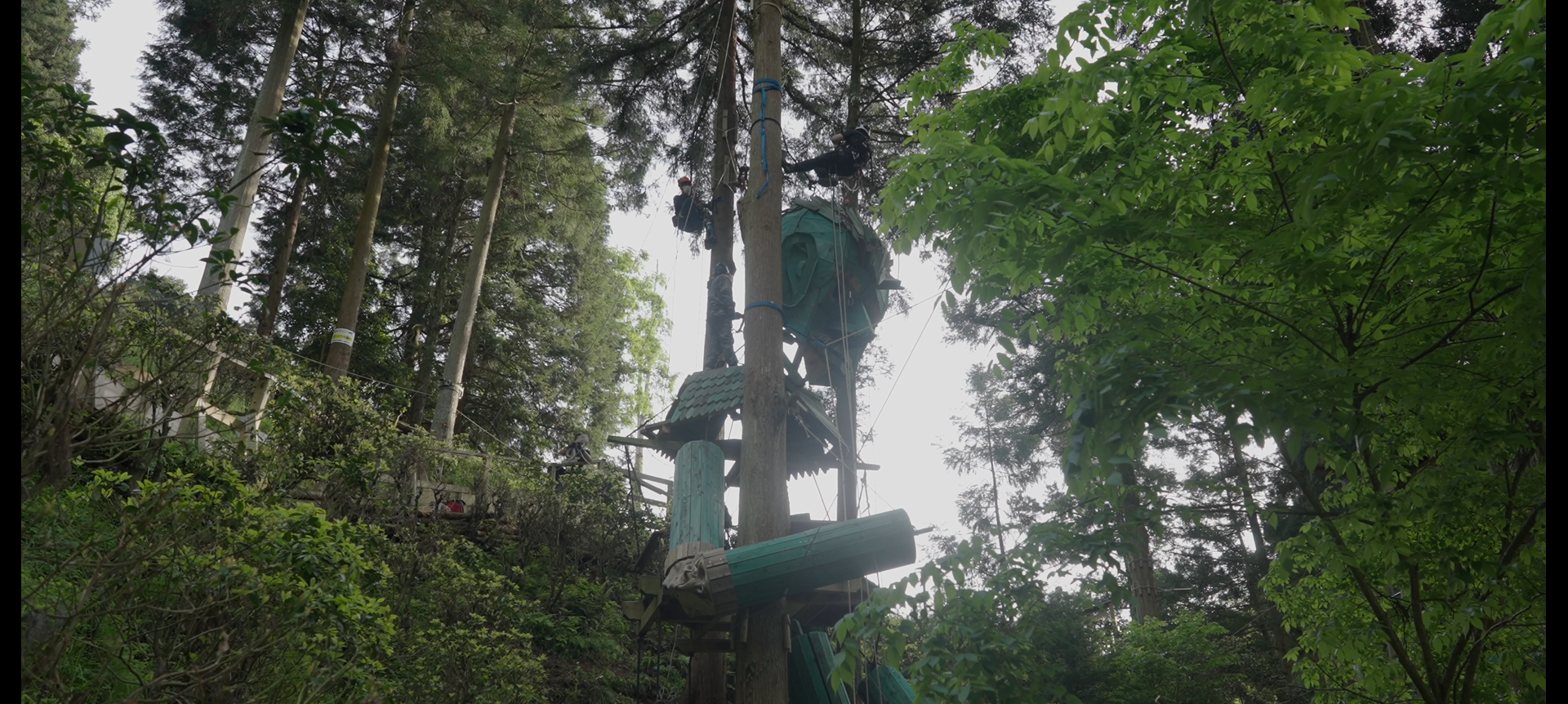 形が出来上がっていく