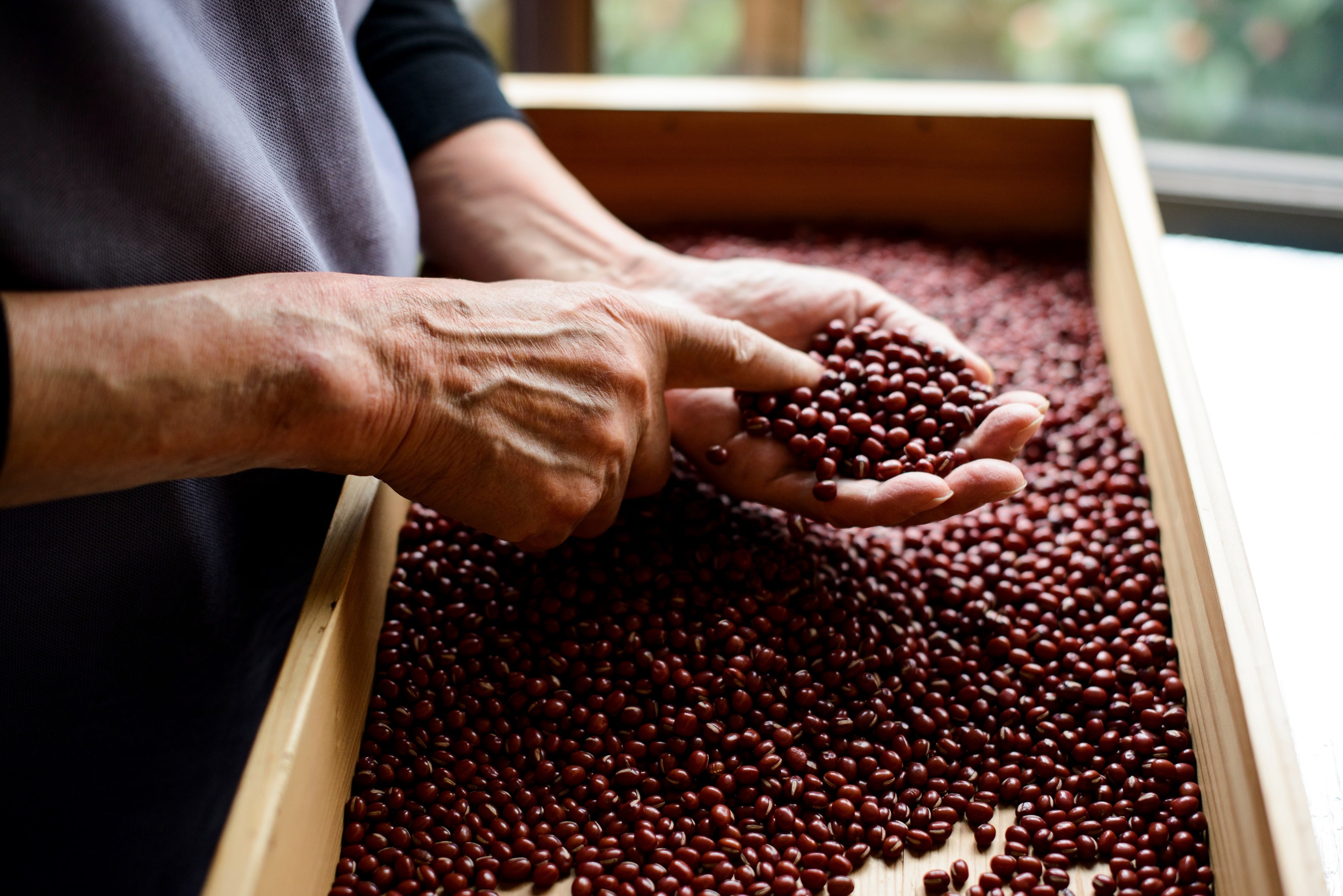 職人の目で小豆をひとつひとつ選別